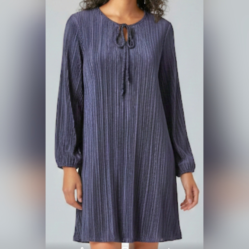 Wrapper Color Blue Sheer Pleated Dress Size Medium NWT